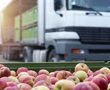 Aumento do preço dos alimentos enfatiza a importância do investimento em segurança no transporte de cargas